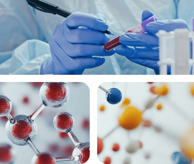 Molecular Diagnostic for Pathogens Main 3